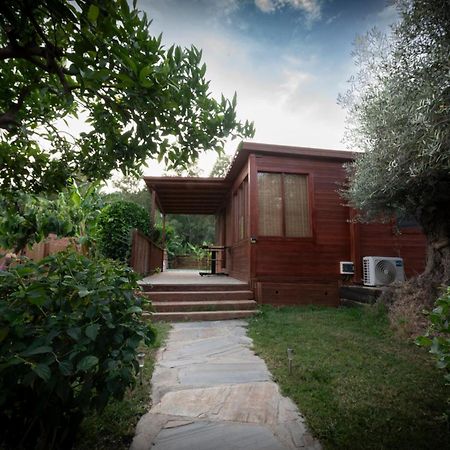 Villa El Jardin Del Eden à Orgiva Extérieur photo